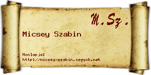 Micsey Szabin névjegykártya